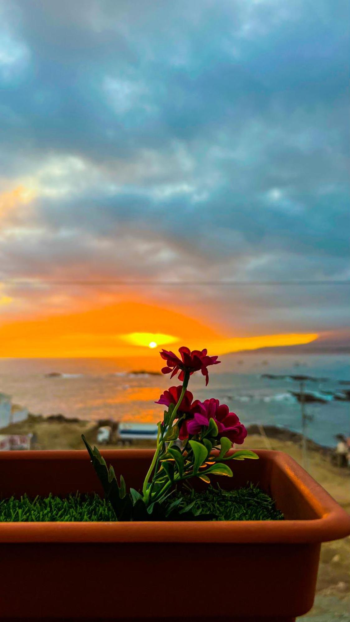 Hotel Aloha Chala Εξωτερικό φωτογραφία